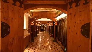 揭秘养生大师的贵阳夜生活：按摩背后的健康哲学，颠覆你的认知！ 海报