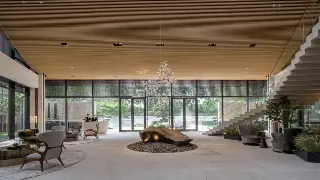 贵阳大咖揭秘“疲惫密码”：资深按摩师分享新手入门全攻略！